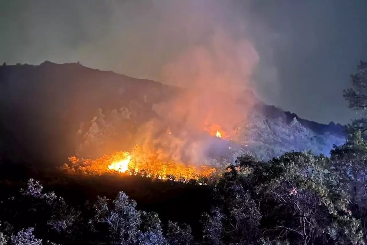 Rodents chewing on wires in an electrical box sparked a wildfire in Waterton Canyon