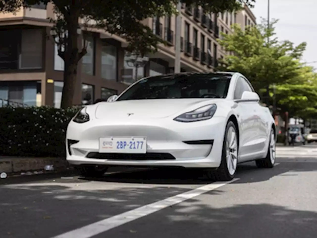 WATCH: 'This is why you should never buy a Tesla!'