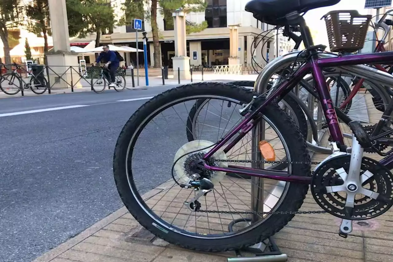 Record de fréquentation et de trajets à vélo battu à Montpellier