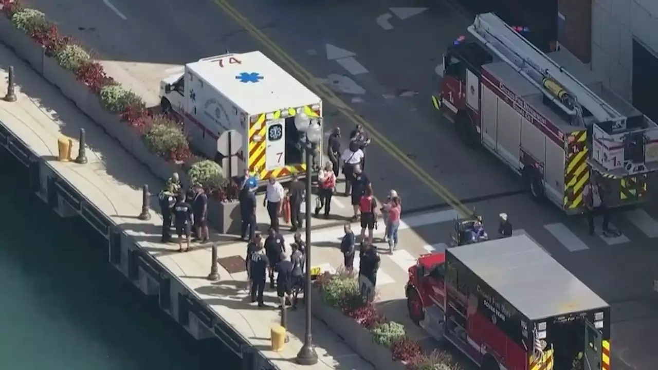 Video shows relative pushing 3-year-old boy into the water off Navy Pier, source says