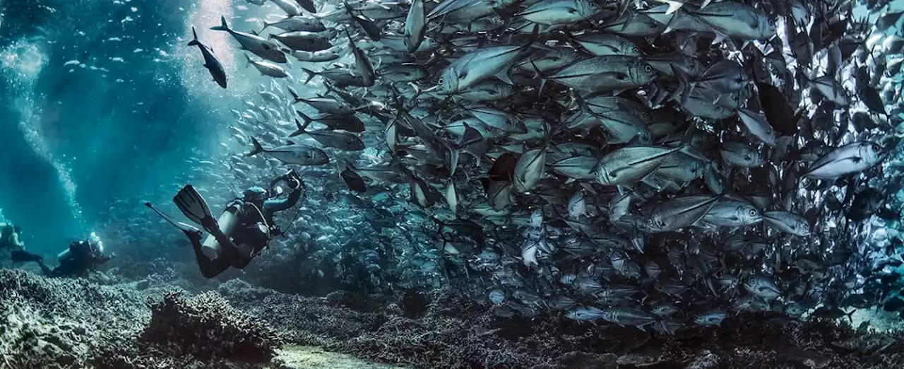 Siena International Awards Festival, un evento da non perdere per chi ama la fotografia (di F. Tulli)