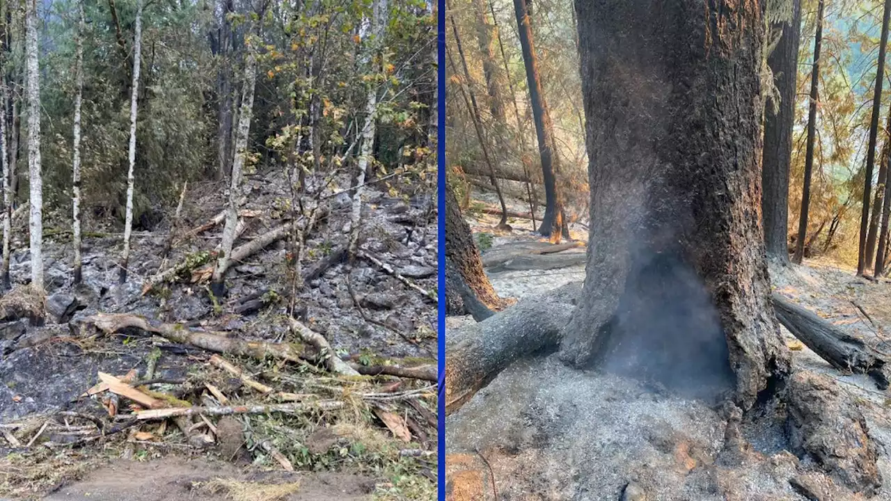 Stevens Pass, stretch of US 2 still closed by fire-damaged trees from Bolt Creek Fire