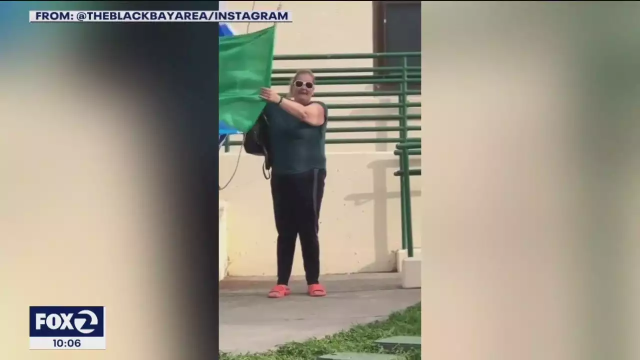 Woman seen on video taking down Latin American country flags at Oakland school