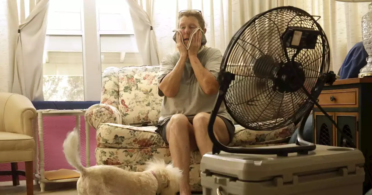 How to get a low-cost A/C unit and other help from LADWP to beat the next heat wave