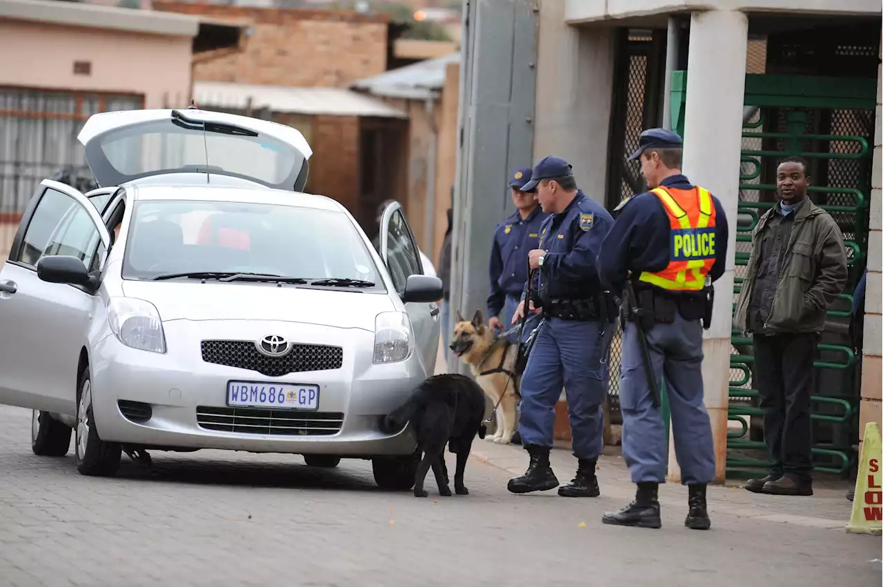 Expertly trained police dogs in high demand locally and abroad