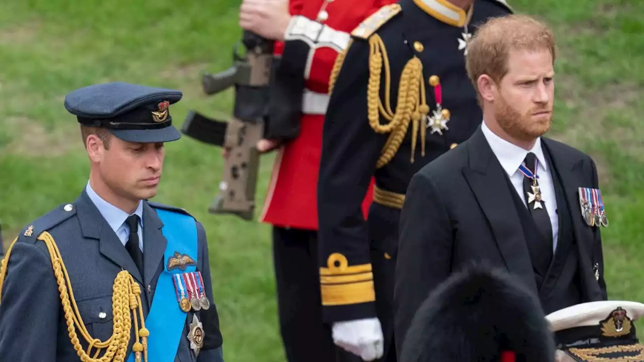 Prince Harry Looked Filled With 'Grief' and 'Regret' as He Looked at Prince William During Queen's Funeral, Body Language Expert Suggests