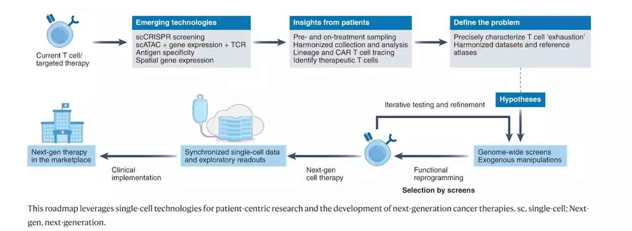 Advancing T cell–based cancer therapy with single-cell technologies - Nature Medicine