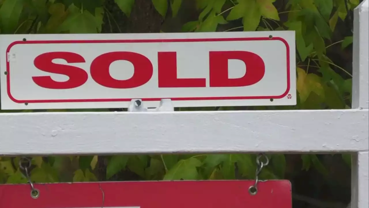 Home Sales Down Across Entire Bay Area Compared to Last Year: Report