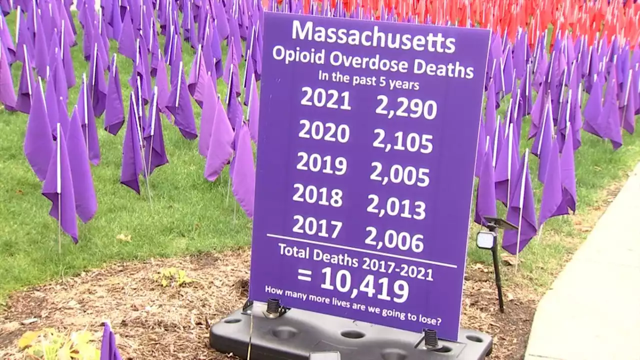 Mass. Lives Lost to Opioid Overdoses Remembered With Purple Flag Event