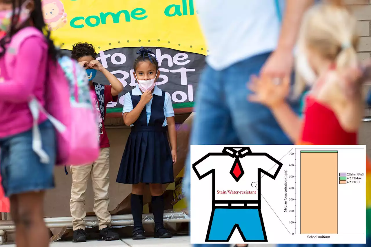 Cancer-causing ‘forever chemicals’ found in kids’ school uniforms