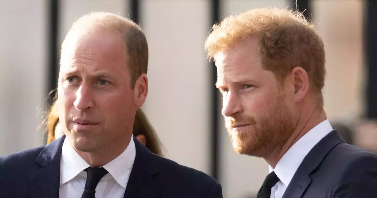 Feuding Harry and William's truce will be temporary until memoir is published