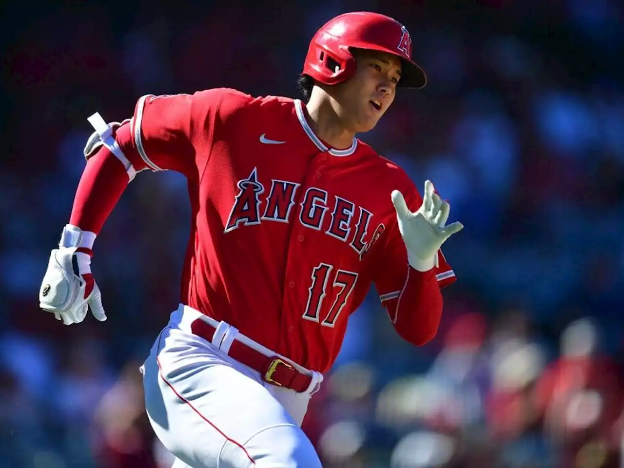 Scott Stinson: Judge or Ohtani? The American League MVP race is a battle between two mind-bending seasons