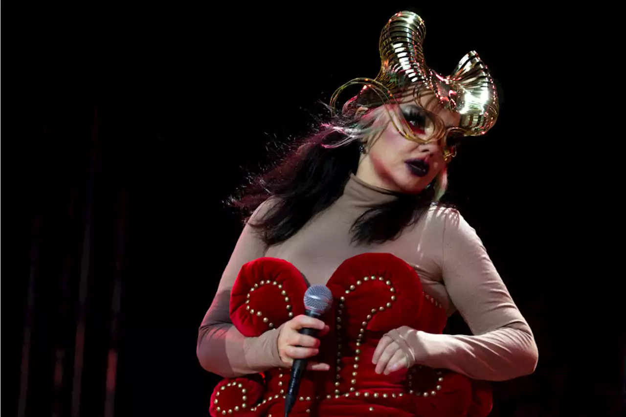 Björk Says 'Violence' in the U.S. Contributed to Move Back to Iceland: 'Too Much for Me'