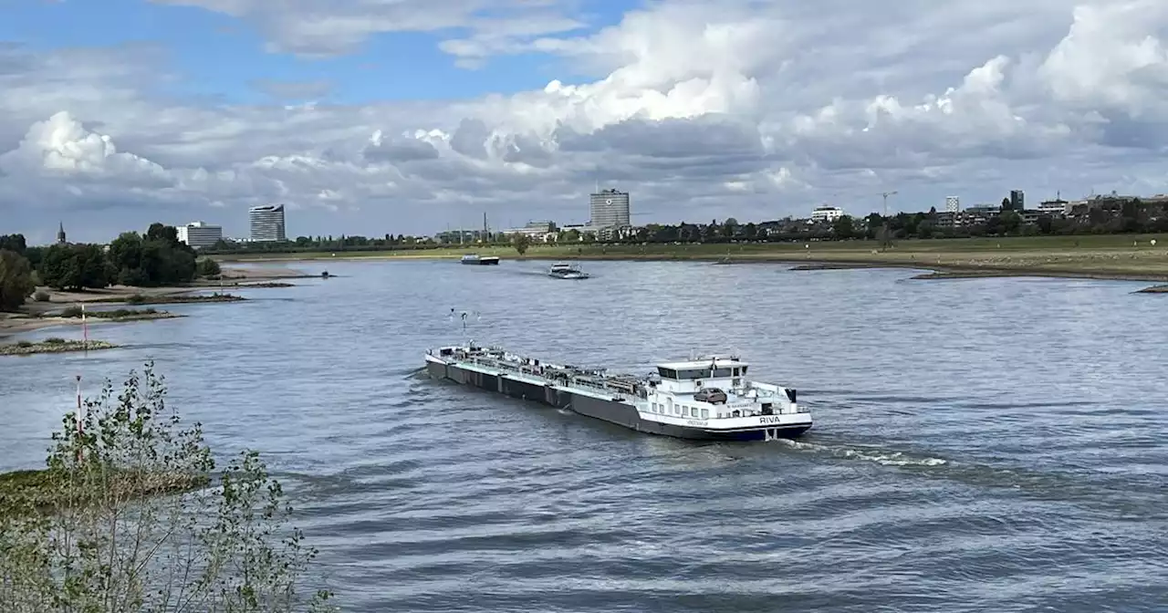 Pegel sind deutlich gestiegen: Der Rhein ist endlich wieder ein Strom