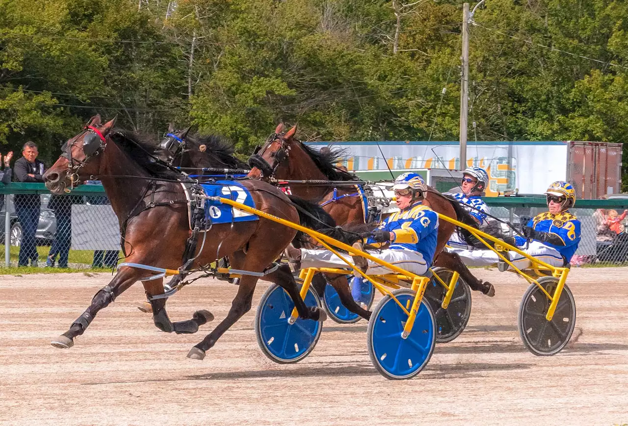 Fisherman's Son captures Nova Scotia Stake at Cape Breton’s Northside Downs | SaltWire