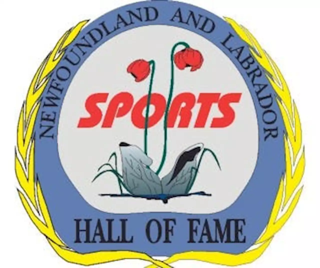 Sport Newfoundland and Labrador names 10 new hall of fame inductees | SaltWire