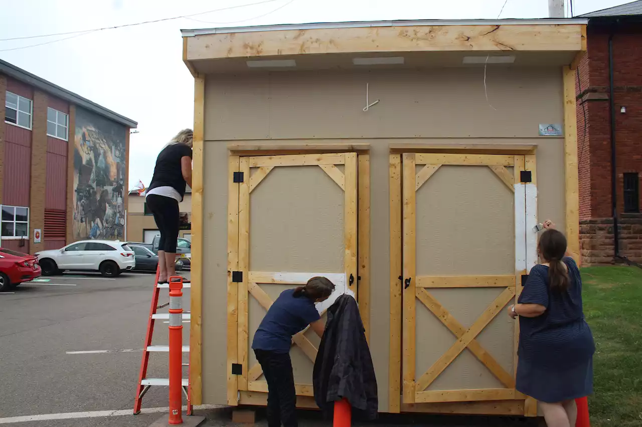 Summerside Community Fridge aims to help address food insecurities in the city, says organizer | SaltWire