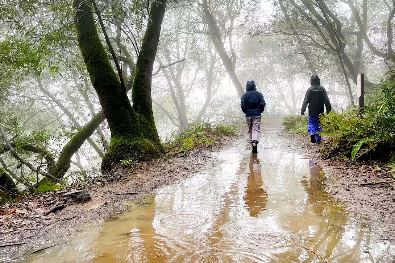 Did the recent rain reduce wildfire risk in the SF Bay Area?