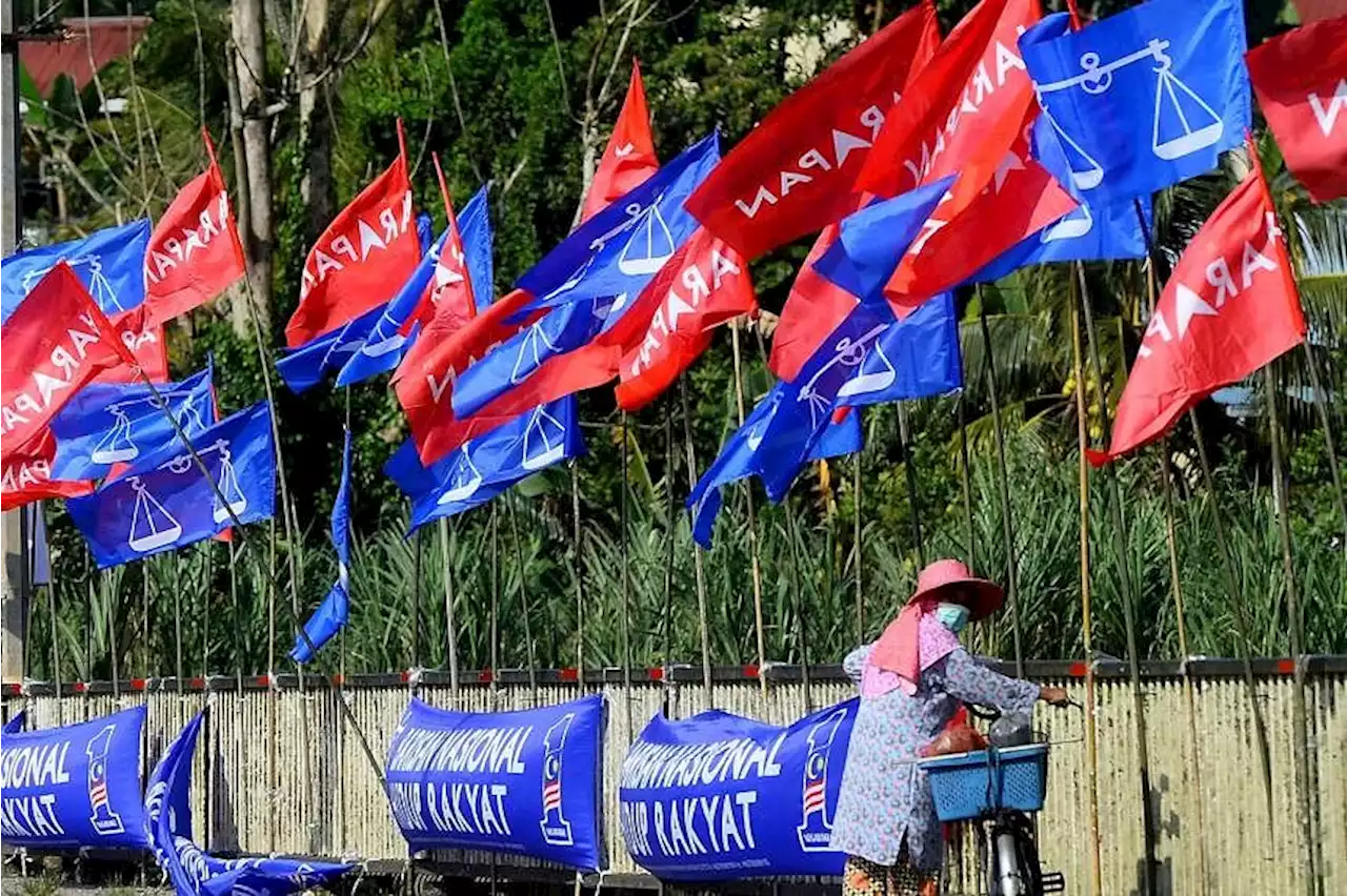 Malaysian political parties gear up for next general election