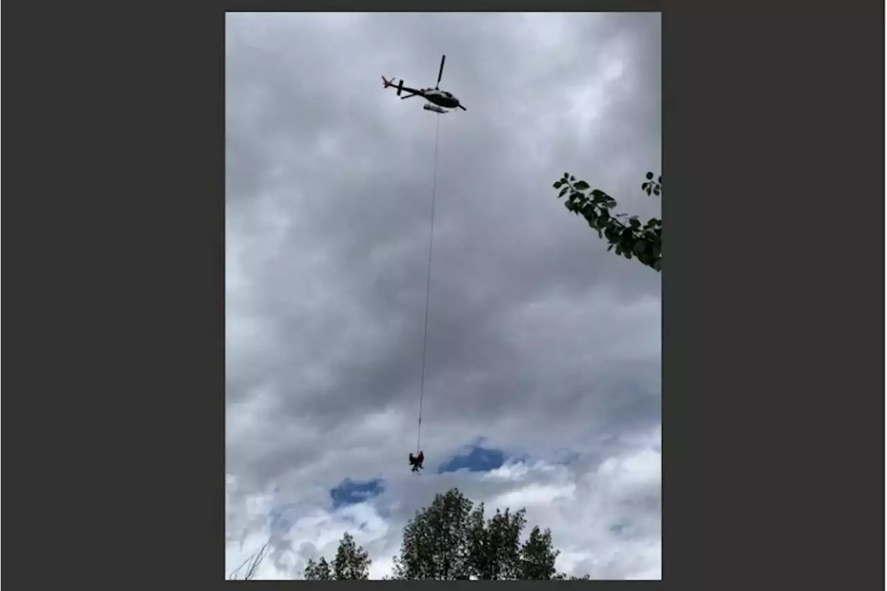 Okanagan search and rescue teams find man lost overnight in Kelowna backcountry – Terrace Standard