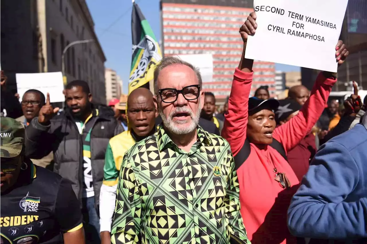 Niehaus told Zuma making Ramaphosa deputy was 'the worst decision' and he would 'live to regret it' | The Citizen