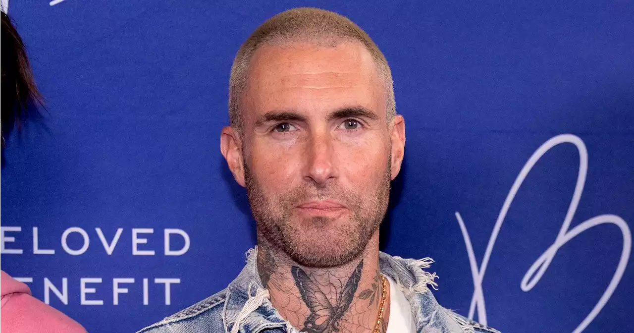 Everything to Know About Adam Levine’s Cheating Scandal: What He’s Said