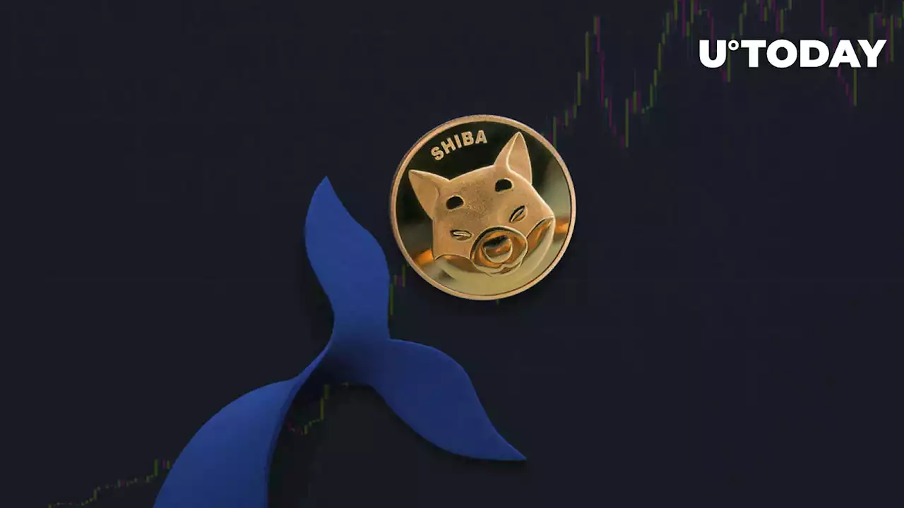 Here's Why Top Whales Sold 1.4 Trillion SHIB, According to Fresh Trading Data