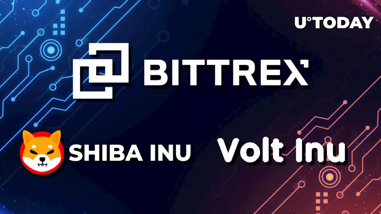 SHIB Rival Volt Inu (VOLT) Listed on Top-Tier Bittrex Exchange