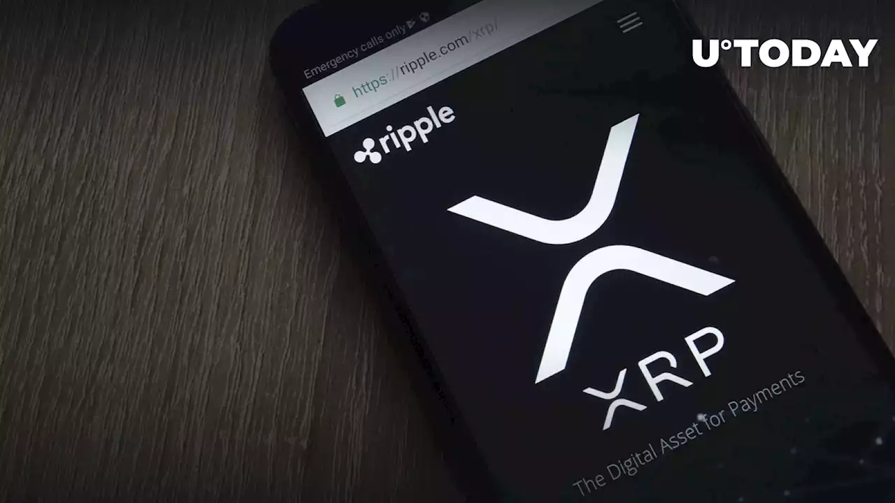 XRP Shows Most Bullish Set-up in Crypto Now, This Trader Insists