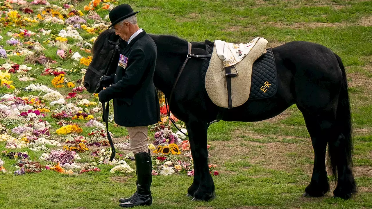 Regina Elisabetta II: sulla sella del suo pony uno dei suoi foulard preferiti