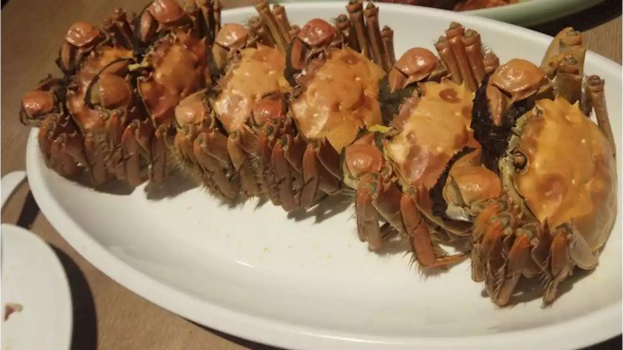 5 Olahan Resep Kepiting Asam Manis, Nikmat dan Anti Amis