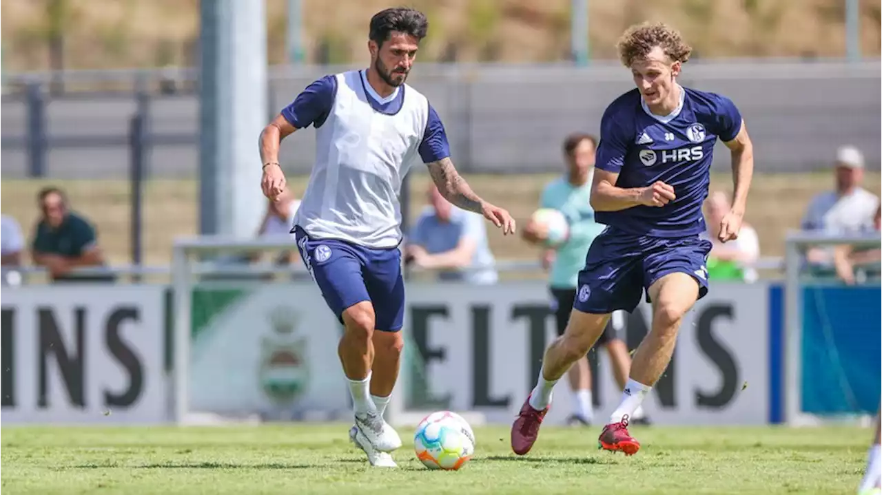 FC Schalke 04: Stimmung in Kabine brodelt – Kritik an Danny Latza und Alex Kral