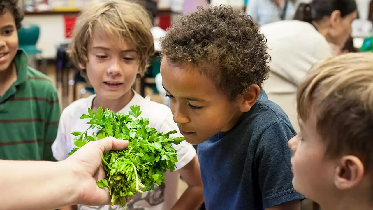 Food as a Teaching Tool: How One CPS Teacher Used Food to Connect with Her Students