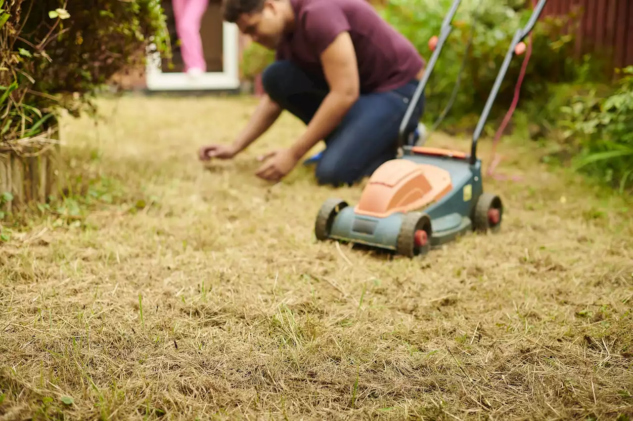 Pestizide: Wer seinen Garten mit Gift behandelt, soll dafür einen Kurs besuchen müssen