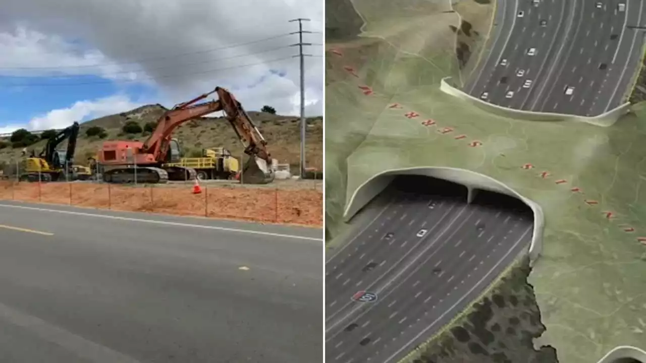 Construction continues for Wildlife Crossing over 101, which will offer safety for mountain lions