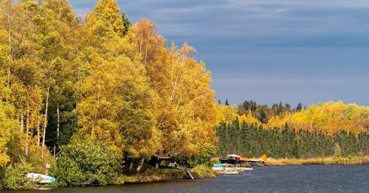 Photos: Fall foliage is popping in the Anchorage area