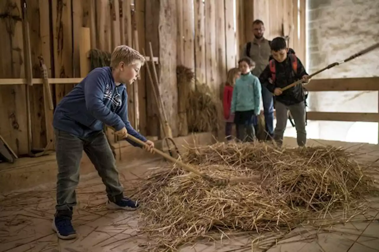 Das grösste Erntedankfest der Schweiz im Freilichtmuseum Ballenberg - bauernzeitung.ch