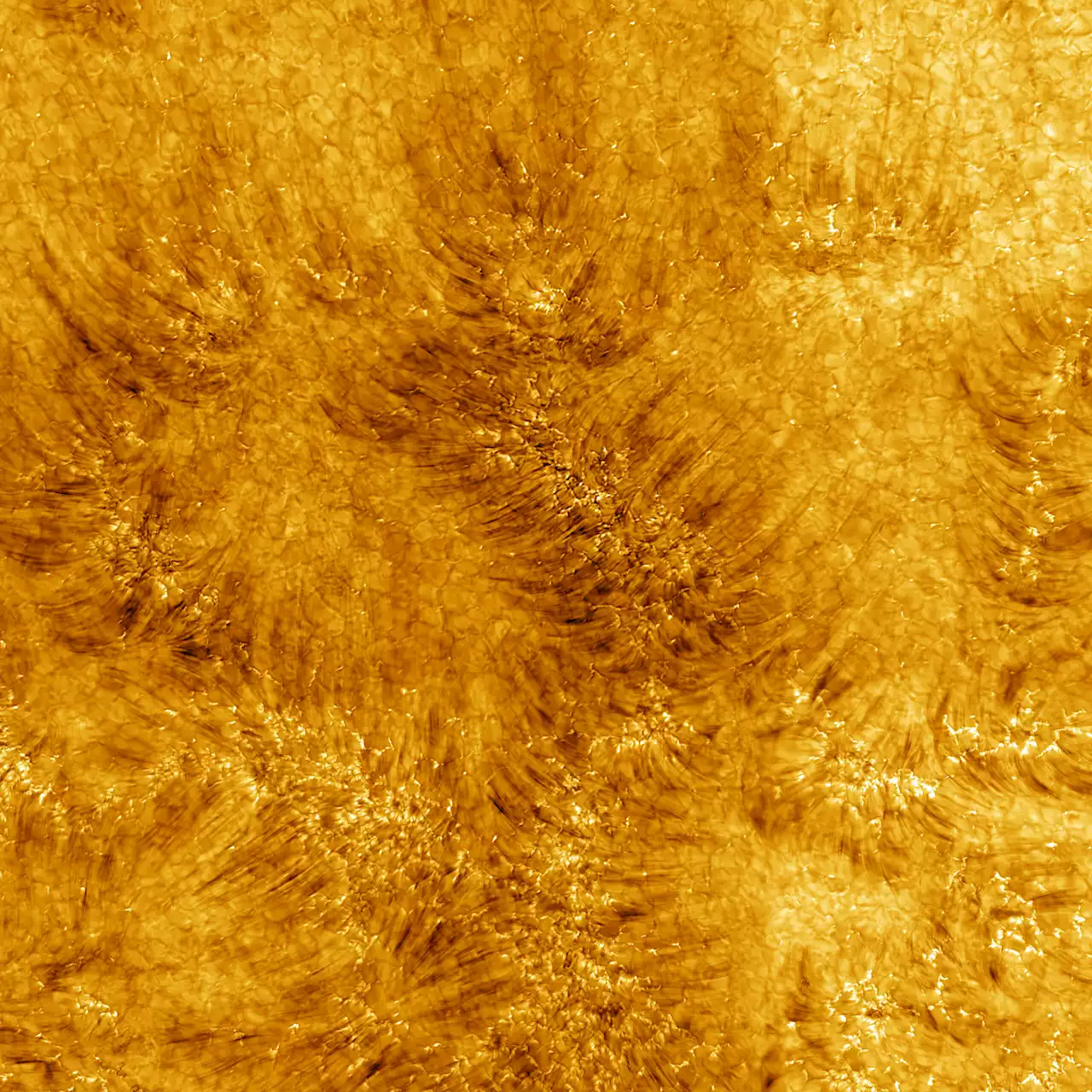 Ultra-close-up photos show the Sun like you’ve never seen it before