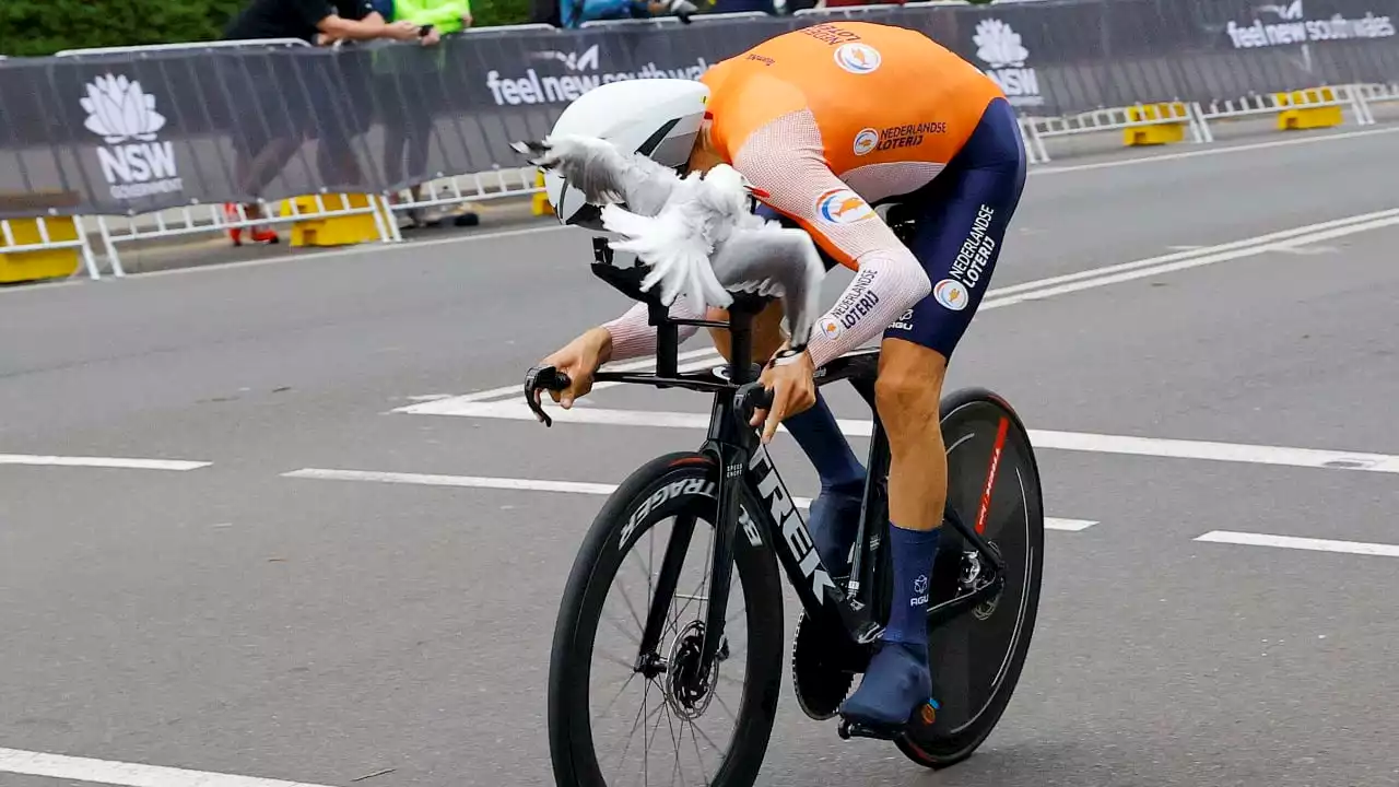 Straßenrad-WM in Australien: Möwen-Attacke auf Rad-Profi Bauke Mollema