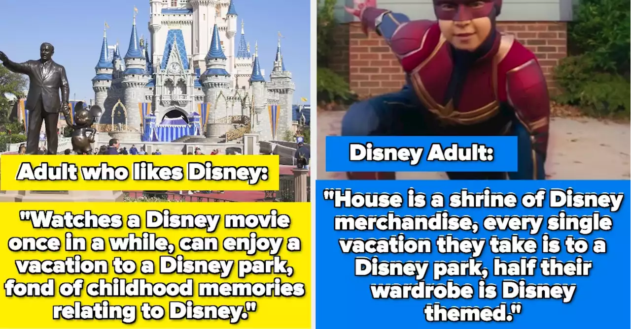 People Are Sharing Specific Things Others Turn Into Their Whole Personality, And I'm Laughing