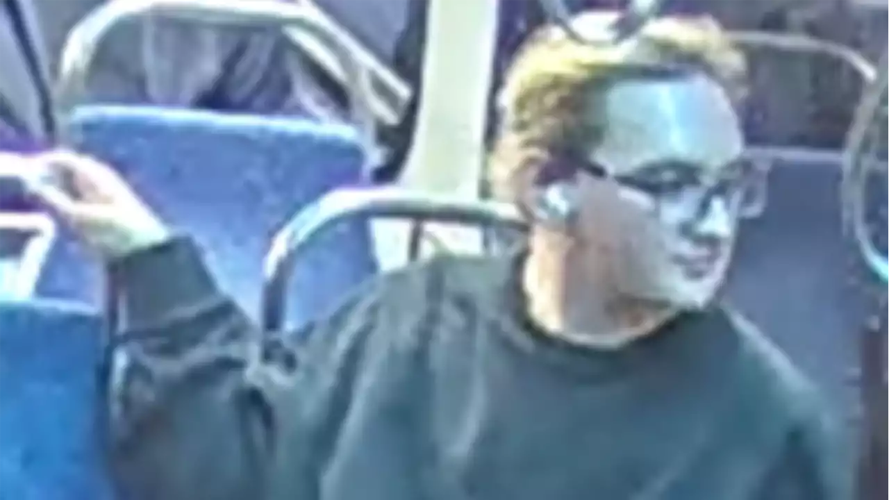 Ottawa police search for possible witness on OC Transpo bus