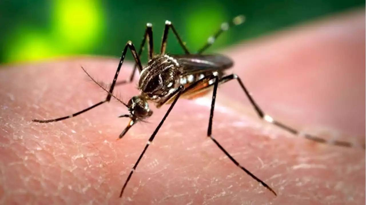 First human case of West Nile virus confirmed in Peel Region in 2022