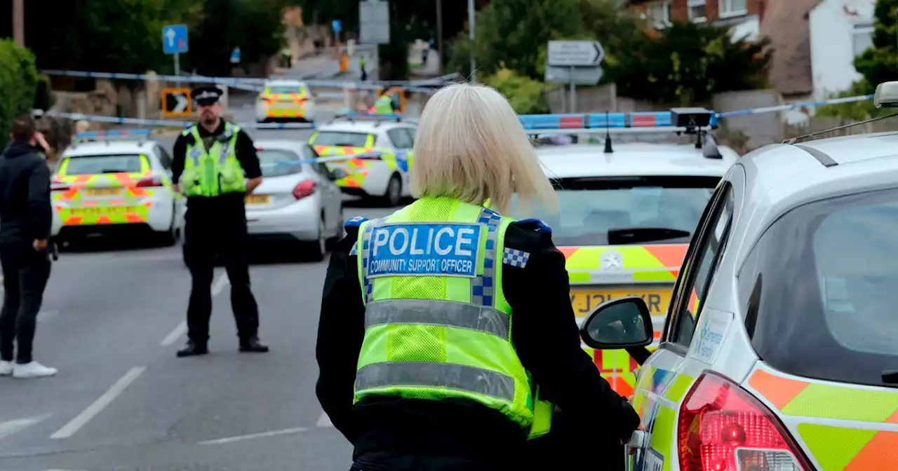 Teenager dies after being stabbed to death outside school gates