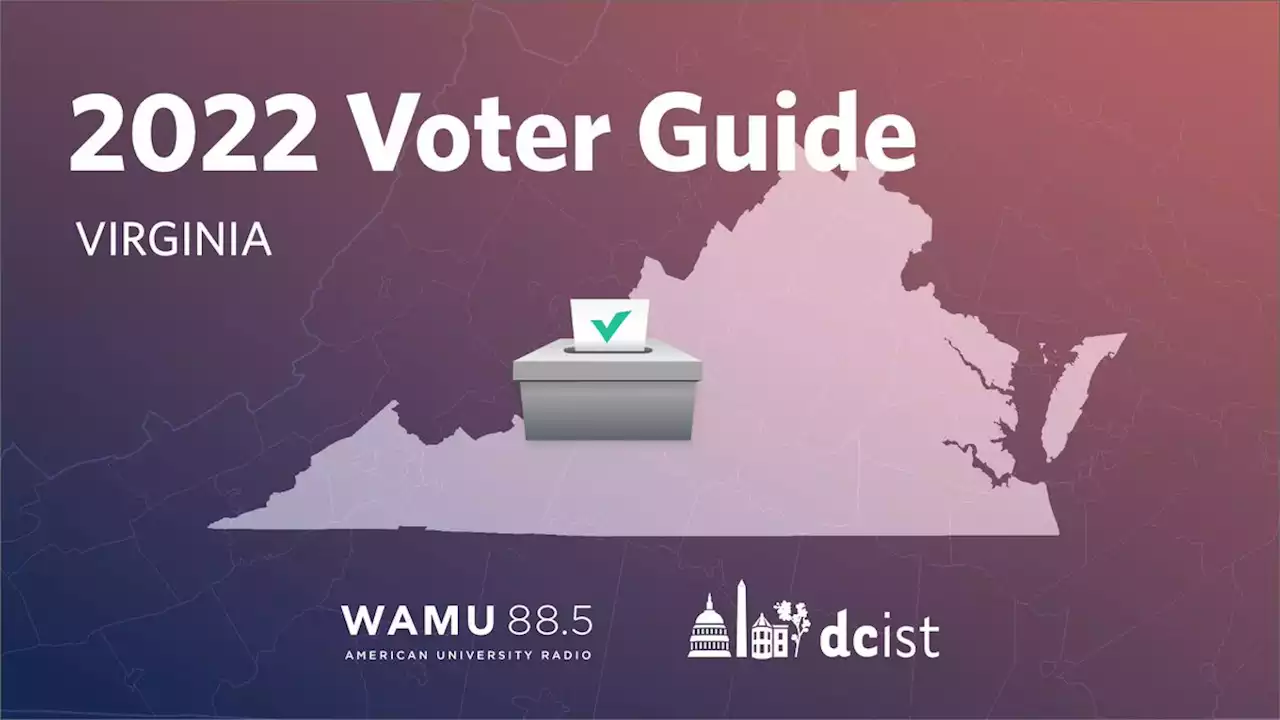 Your Guide To The 2022 Elections In Northern Virginia