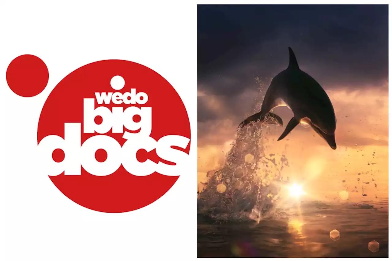 WedoTV Parent Video Solutions And Big Media Form FAST Channels Joint Venture