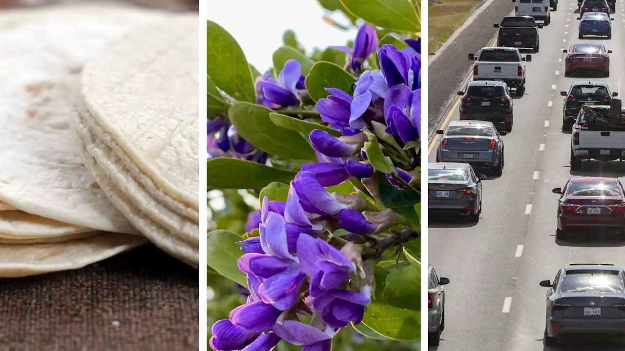 Take a whiff: San Antonio smells that every local will recognize