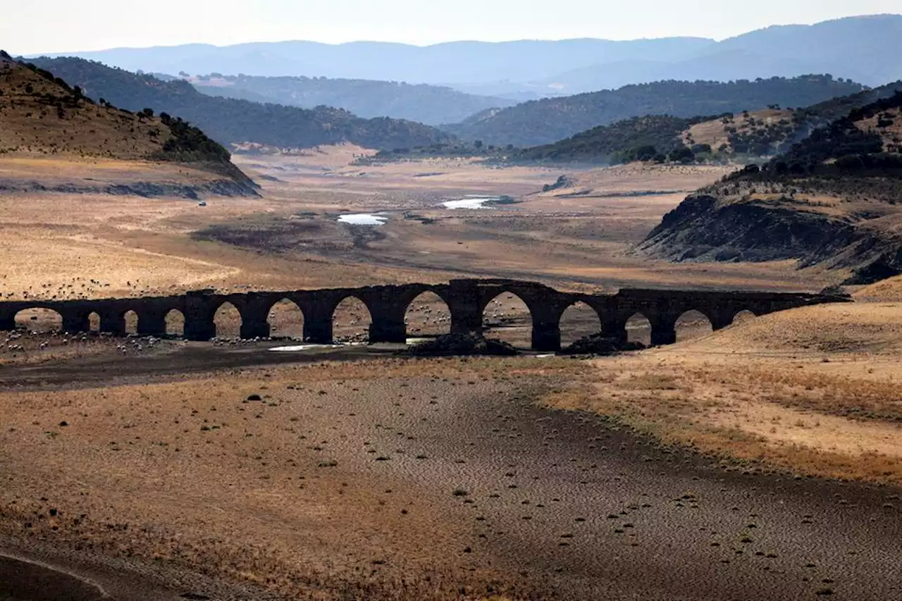 Lutte contre le réchauffement climatique : quand l'Espagne donne l'exemple à la France avec ses mesures radicales