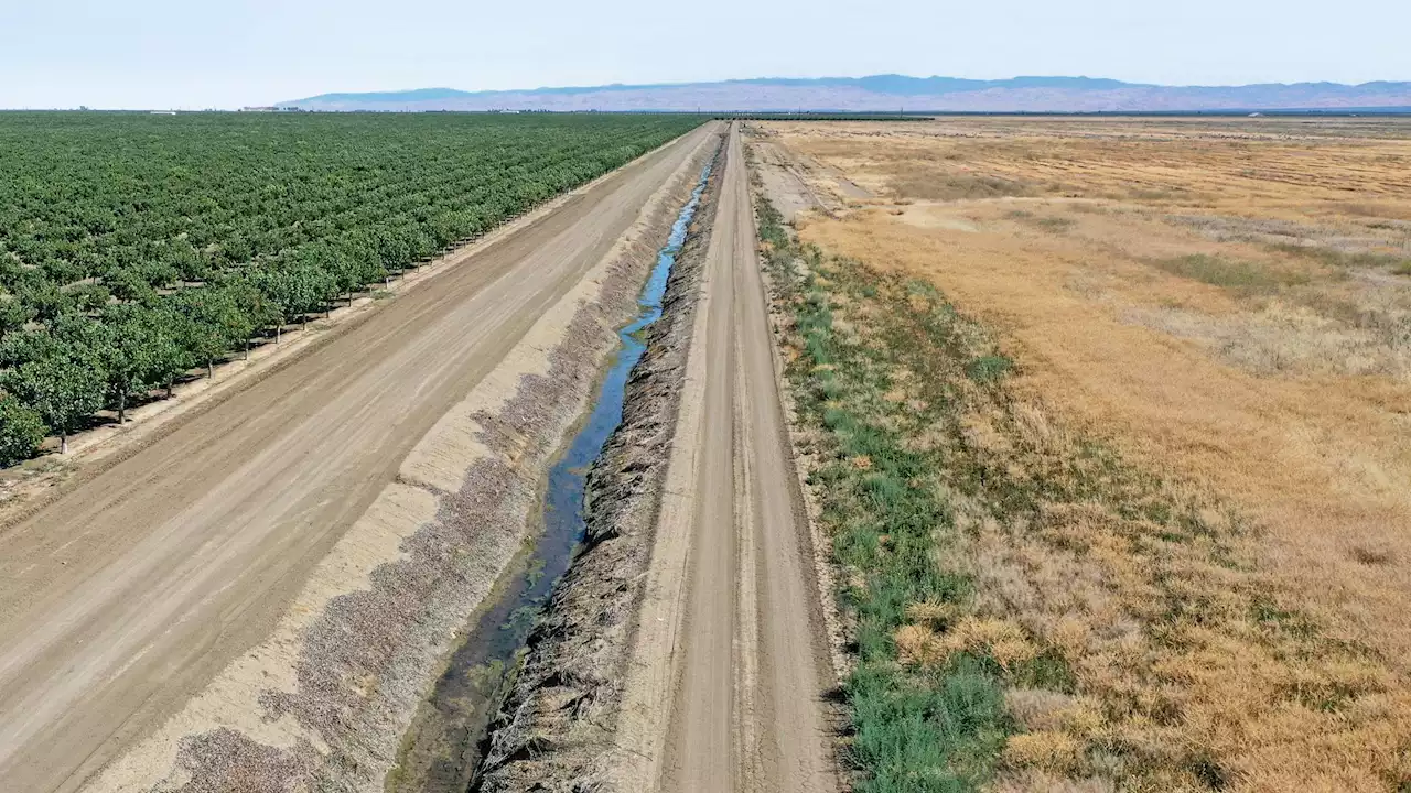 California’s Water Emergency: Satisfying The Thirst Of Almonds While The Wells Of The People That Harvest Them Run Dry