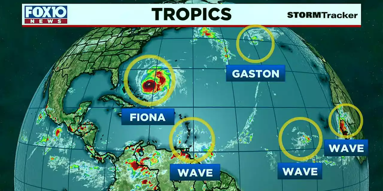 Active tropics