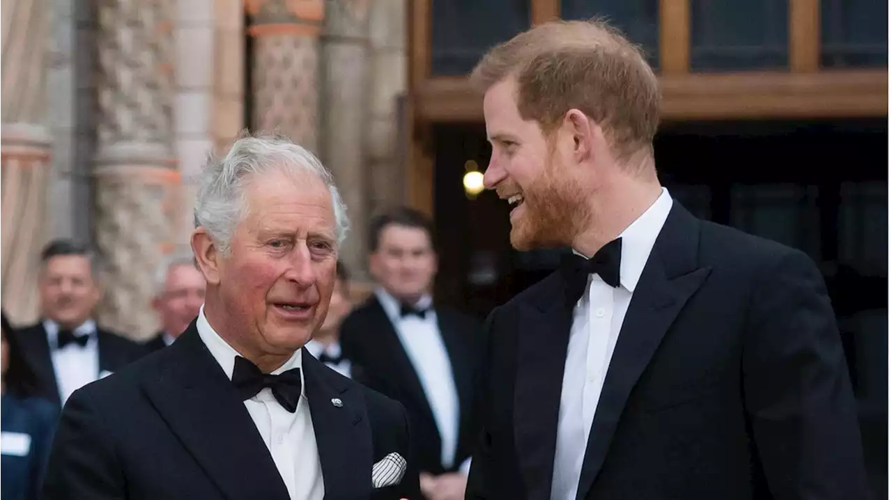 König Charles: Deshalb will er noch nicht über die royalen Titel von Harrys Kindern entscheiden